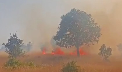 Mardinde 5 ayrı noktada çıkan yangın devam ediyor