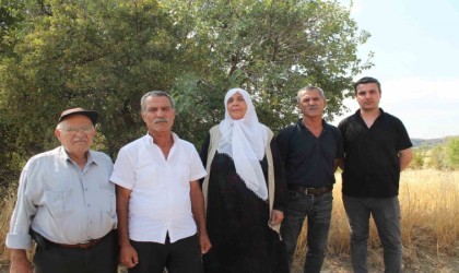 Mardinde ağabey, 15 kardeşinin arazi hakkını sahte tapu işlemleri ile aldığı iddia edildi