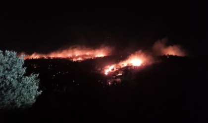 Mardinde ağaçlık alanda çıkan yangın büyüyor