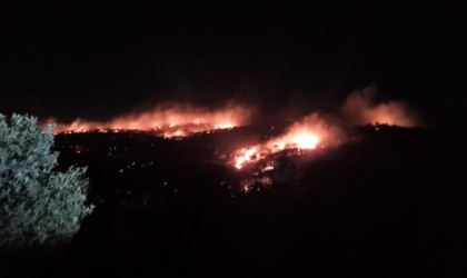 Mardinde gece saatlerinde korkutan yangın kontrol altına alındı