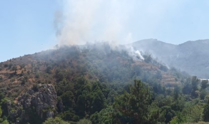 Mersinde orman yangınına, havadan ve karadan müdahale ediliyor