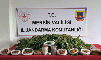 Mersinde uyuşturucu operasyonu: 1 gözaltı