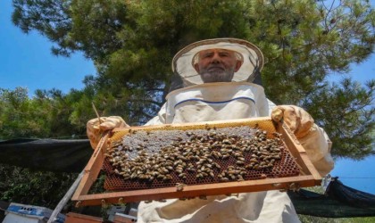 Oğlunun ölümünün ardından dedesinden kalma arıcılık mesleğiyle hayata tutundu