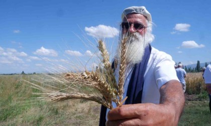 Parla Erzurumda Pasin Ovasında başak verdi