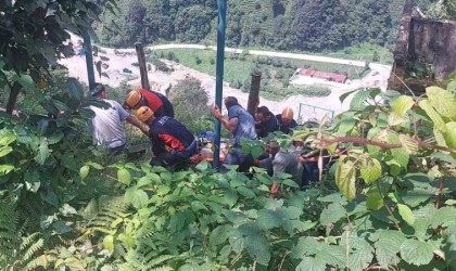 Rizede çay toplayan vatandaş elektrik akımına kapılarak ağır yaralandı