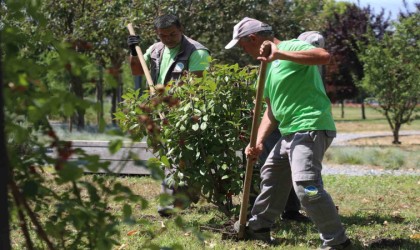 Sakarya Büyükşehir Belediyesinden şehre estetik dokunuş