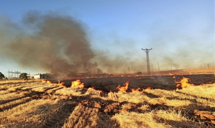 Şanlıurfada 16 mahalle anız yüzünden elektriksiz kaldı