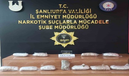 Şanlıurfada 6 kilo 550 gram skunk ele geçirildi