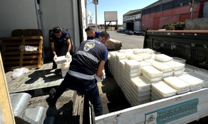 Şanlıurfada 8 ton bozuk peynir ve yumurta ele geçirildi