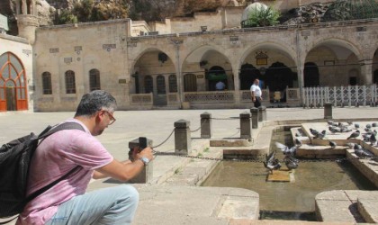 Sıcaktan bunalan güvercinler Balıklıgöl suyunda serinledi