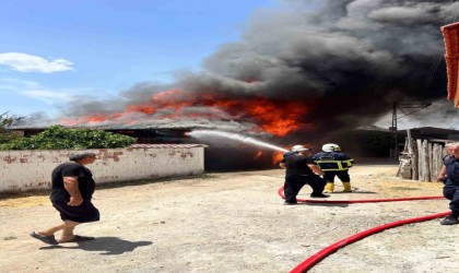 Sinopta 6 ev yanarak kullanılamaz hale geldi