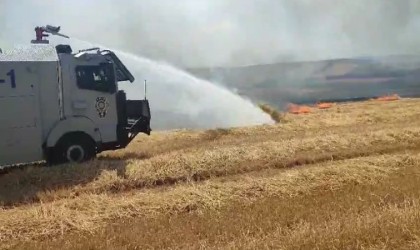 Tekirdağda anız ve orman yangınlarına çevik kuvvet desteği