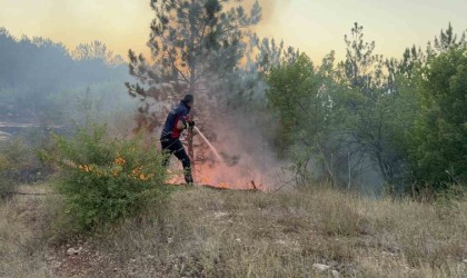 Tokatta korkutan orman yangını