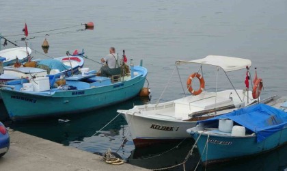 Yeni av sezonu öncesinde palamudun görüntü vermesi balıkçıları umutlandırdı