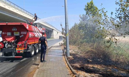 Yol kenarına atılan sigara izmariti yangın çıkardı