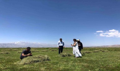 Yüksekovada yağışlar çiftçilerin yüzünü güldürdü