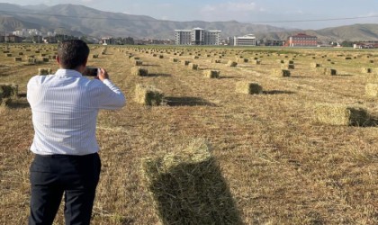 Yüksekovada yağışlar tarımda verimliliği artırdı