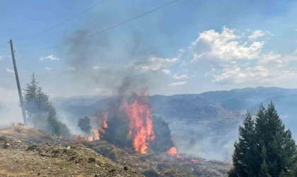 Alanyada makilik alanda çıkan yangın ormana sıçramadan söndürüldü