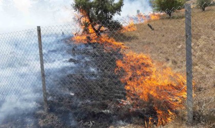 Anız yangını 20 dönümü kül etti: 4 tarla, 1 mezarlık yandı