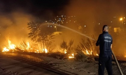 Asi nehri kenarında çıkan yangın söndürüldü