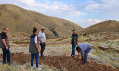 Ayatay, Çayırlı ve Otlukbelide yapılan çalışmaları yerinde inceledi