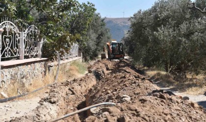 Balıkesirde, 80 bin zeytin ağacı suyla buluştu