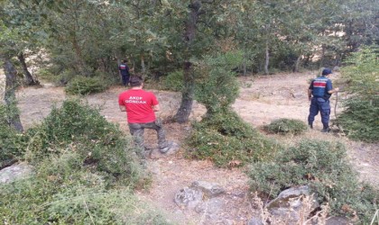 Balıkesirde kaybolan kadın ortaya çıktı: Kendi isteğiyle saklanmış