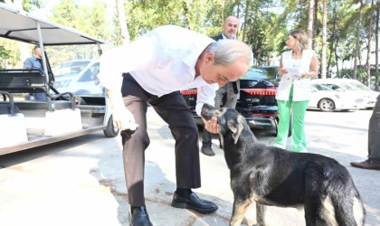 Başkan Kocagözden Köpek yakıldı iddialarına cevap