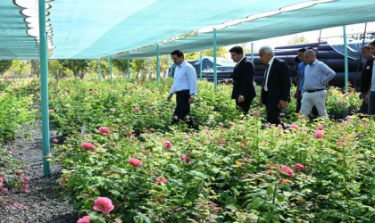 Başkan Taşkın: Yeşil bir Battalgazi için üretiyoruz