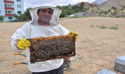 Batmanda organik kara kovan balında hasat başladı