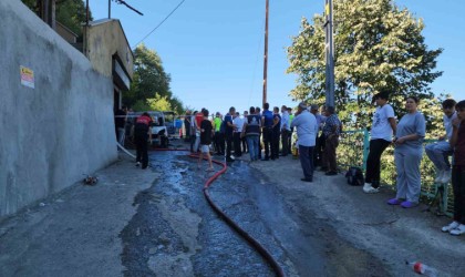 Belediyenin hayvan toplama aracında çıkan yangın ormanlık alana sıçradı