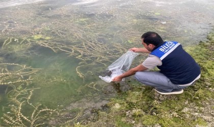 Bilecikte 14 farklı göle 134 bin 500 adet sazan balığı yavrusu bırakıldı