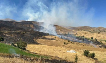 Bingölde 113 yangında 142 hektarlık alan zarar gördü