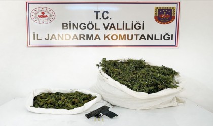 Bingölde 12 kilo esrar ele geçirildi: 1 gözaltı