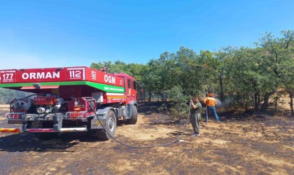 Bingölde 6 bölgede çıkan yangınlar söndürüldü