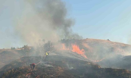 Bingölde iki bölgede çıkan orman yangını söndürüldü