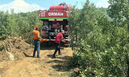 Bingöldeki orman yangını erken müdahaleyle büyümeden söndürüldü