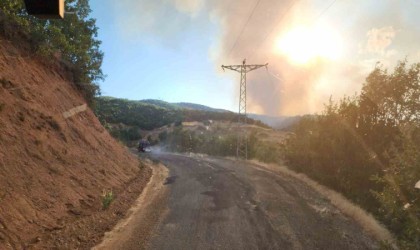 Bingöldeki orman yangınına müdahale devam ediyor