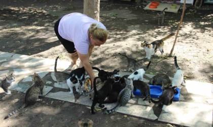 Bir sesine onlarca kedi koşuyor