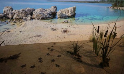 ‘Çukurova Biyoçeşitlilik Tanıtım Merkezi ziyaretçi akınına uğruyor