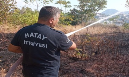 Defnede çıkan bahçe yangını söndürüldü