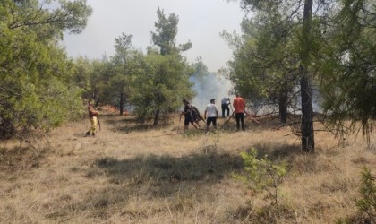 Denizlide orman yangınına havadan ve karadan müdahale ediliyor