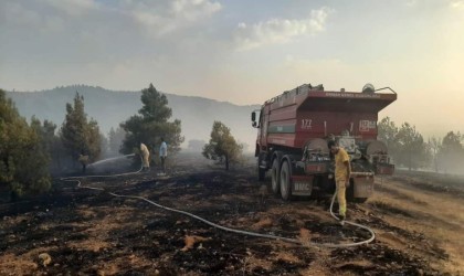 Denizlide orman yangınına müdahale ediliyor