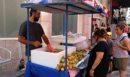 Dikenli incir tezgahlarda yerini aldı: Tanesi 10 lira