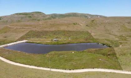 Doğal klimalı Hebüllü Yaylası Tokatlıların sıcağa karşı sığınağı oldu