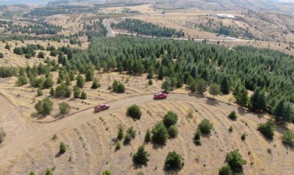 Elazığda orman ekipleri, havadan ve karadan denetimlerini sürdürüyor