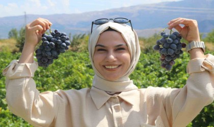 Erzincanın tescilli Cimin üzümü, dünyaca meşhur İtalyanın üzümüne rakip oldu