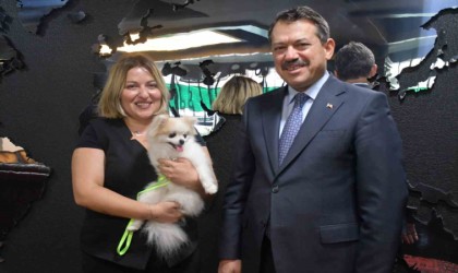 Eskişehirde şiddet gören köpeği zabıt kâtibi sahiplendi