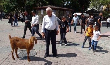 Evladı gibi sevdiği keçiyi yanından ayırmıyor