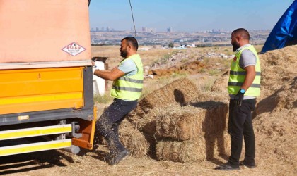 Gölbaşı Belediyesinden çiftçiye bin adet saman balyası